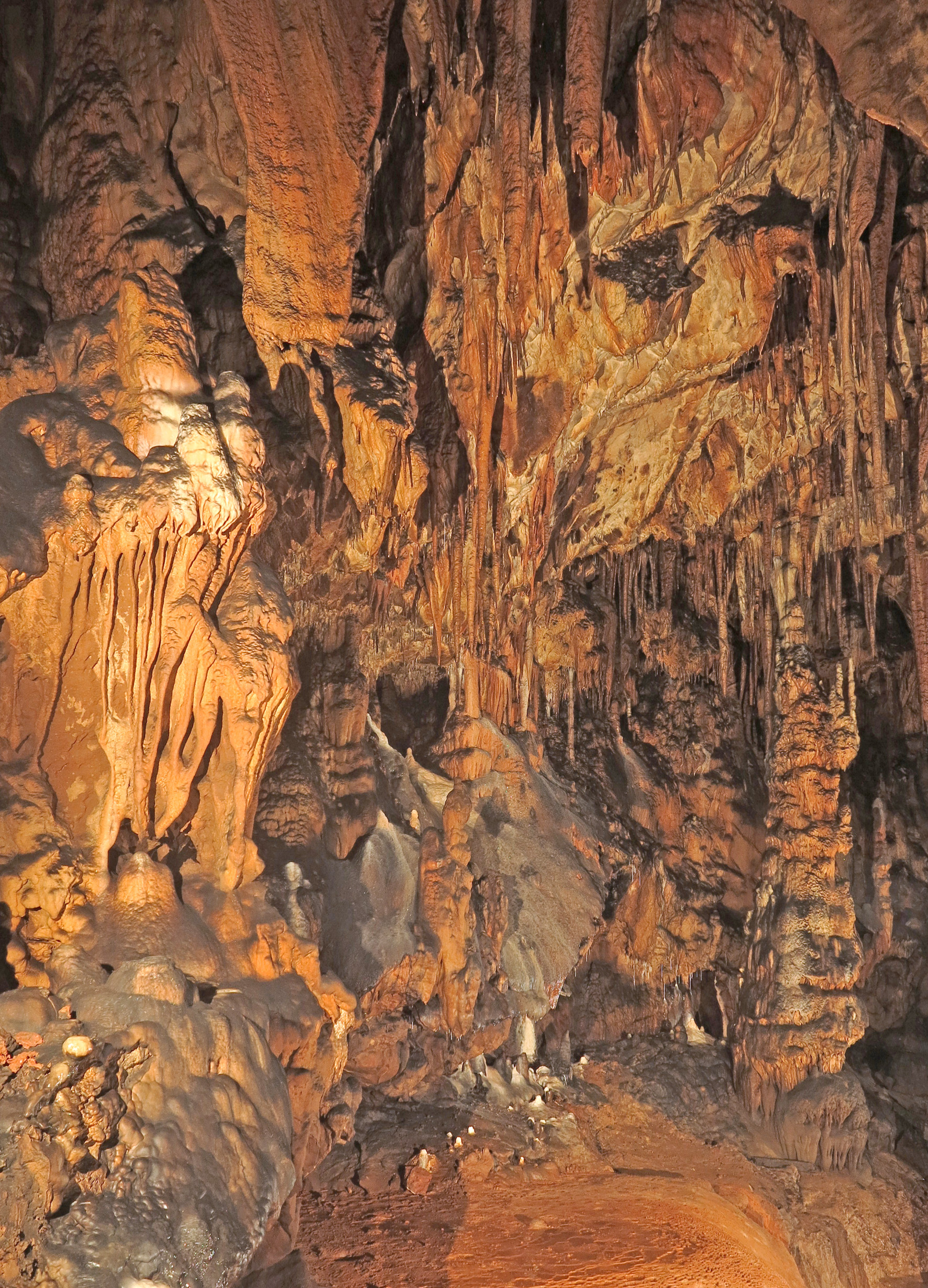 Különleges karbonát-kiválasztó baktériumok a Baradla-barlangból